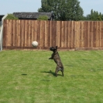 Sadie playing football