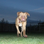 The gorgeous Minnie