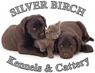 Silver Birch Pet Jets - Cambridgeshire